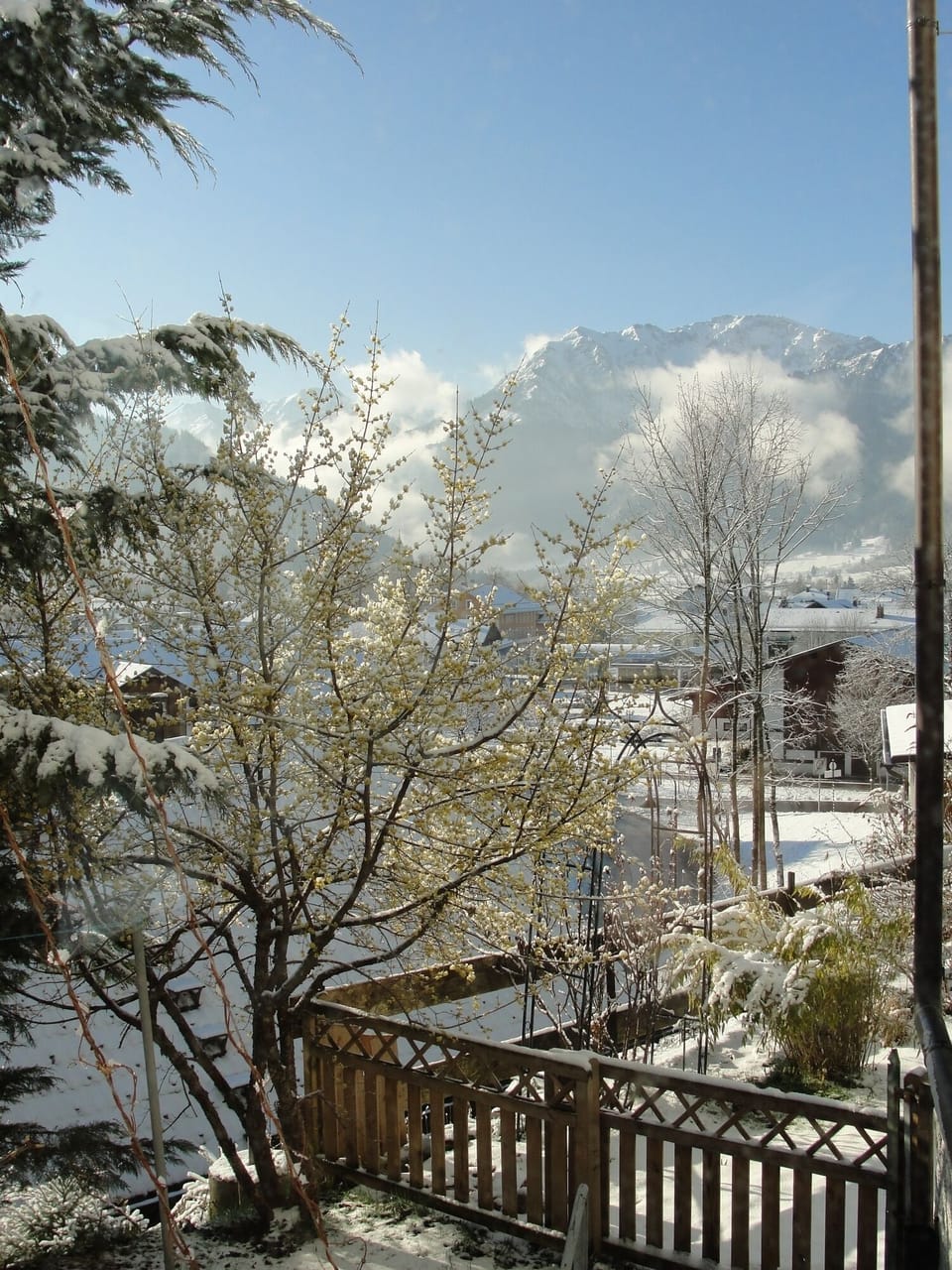 View from property