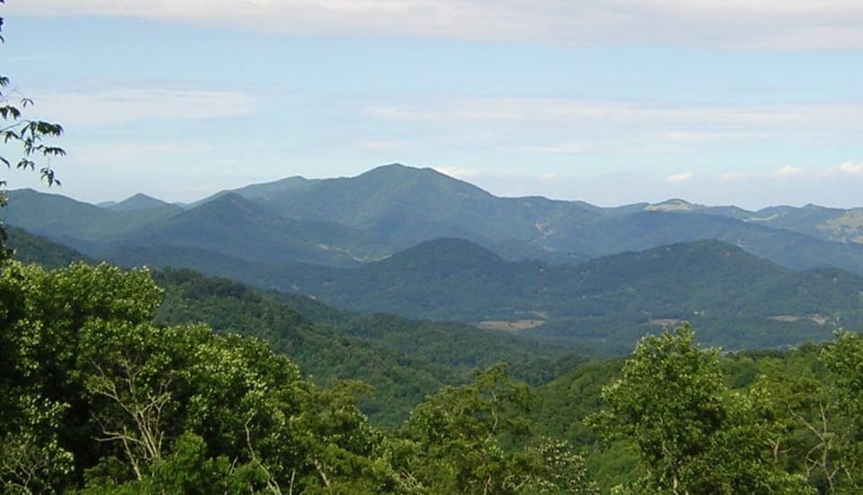 View from deck