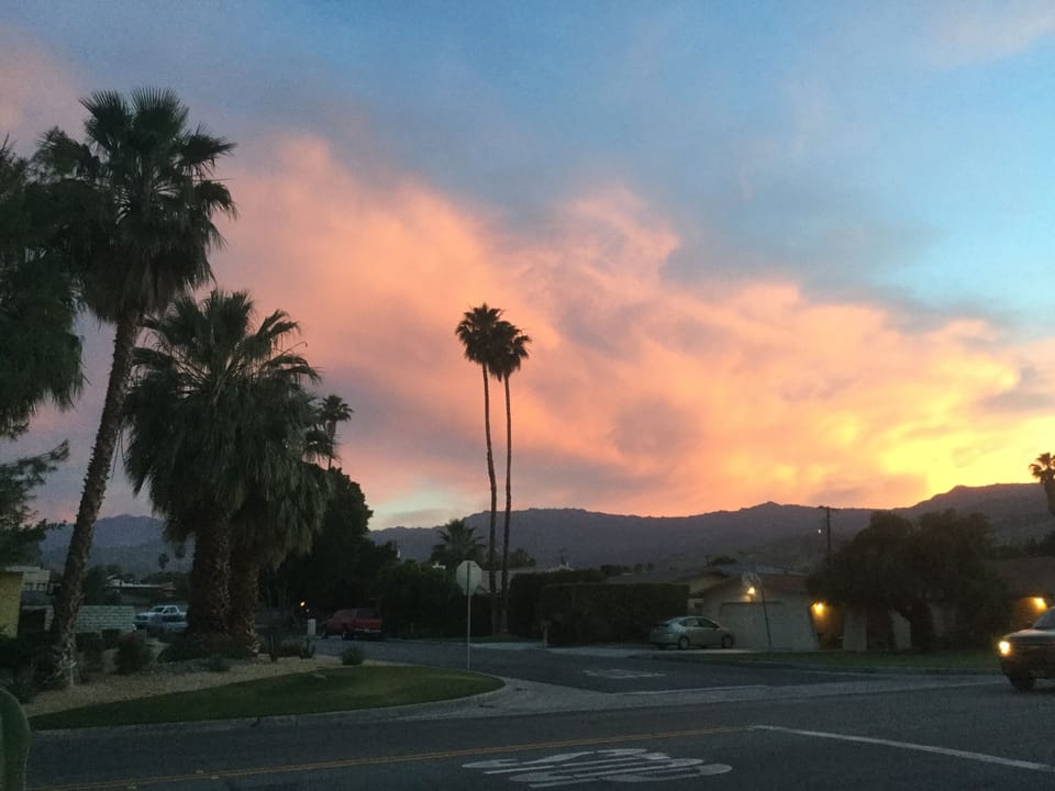 Patio View