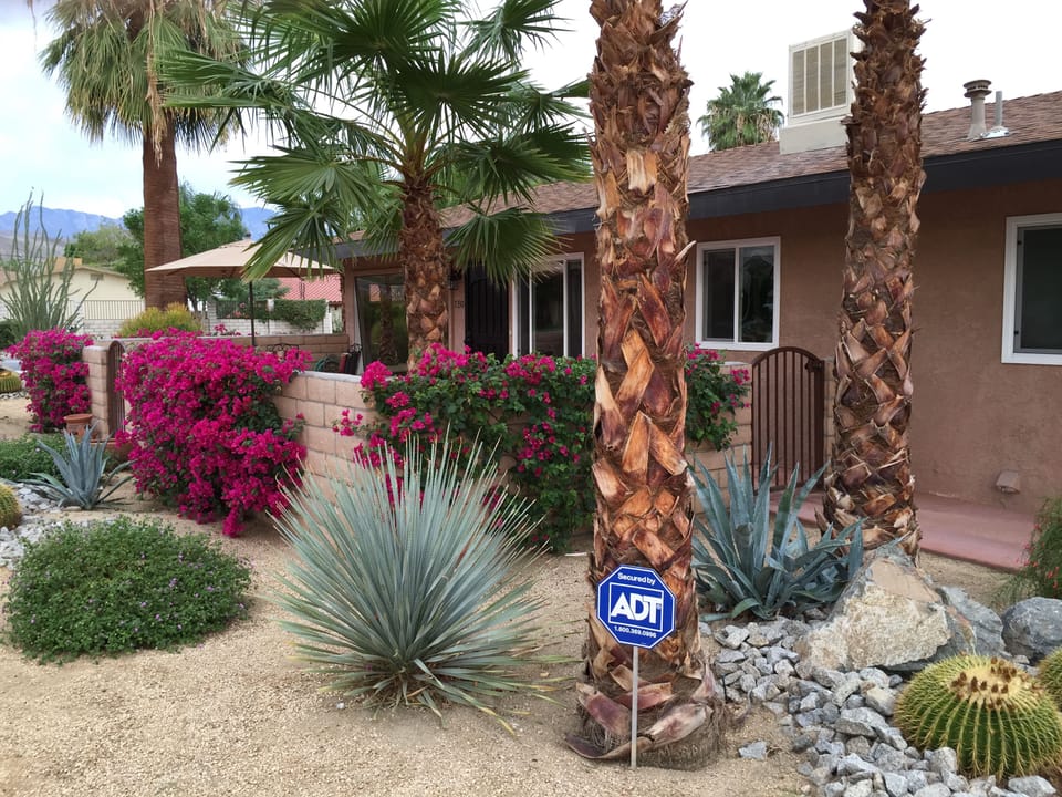 Side Yard