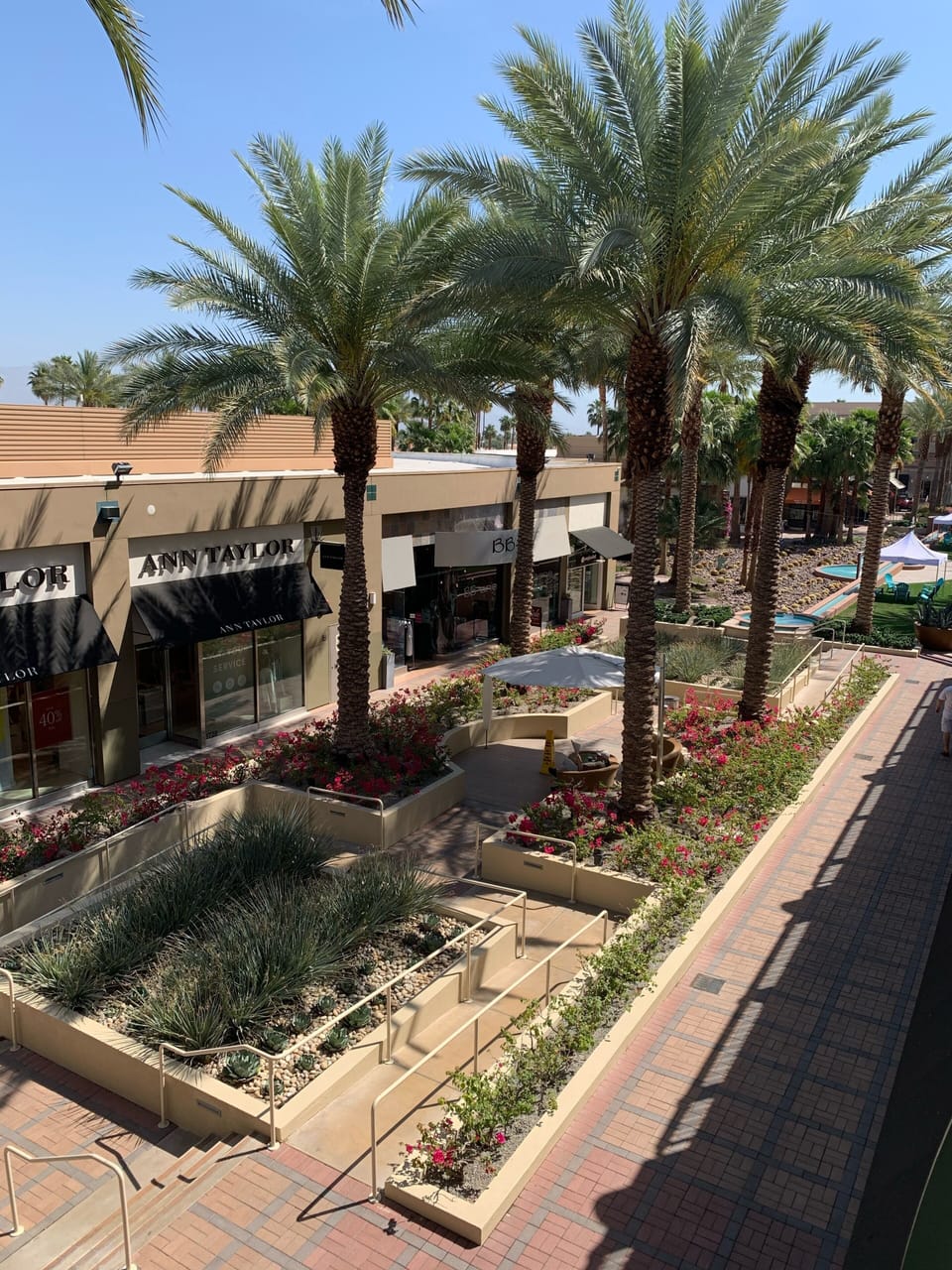 The Gardens on El Paseo