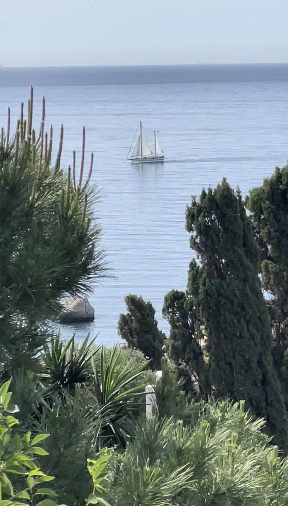View from terrace, a beautiful yacht gliding by …