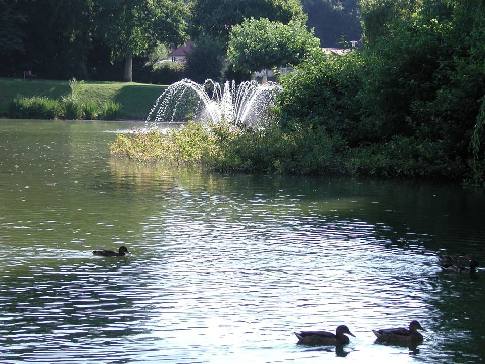 Lake