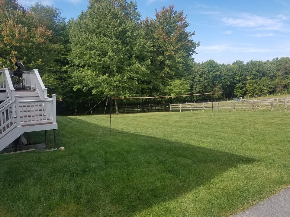 Back yard
