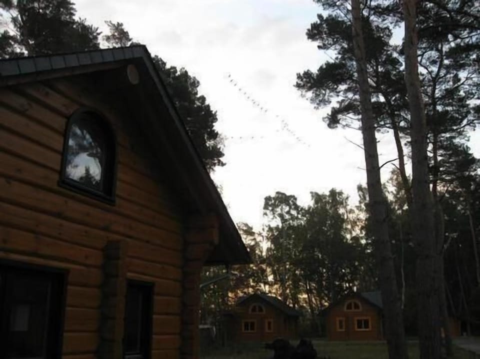 you can see cranes above the house in spring and autum