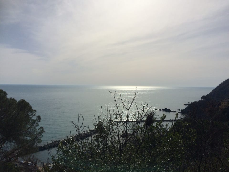 Beach/ocean view