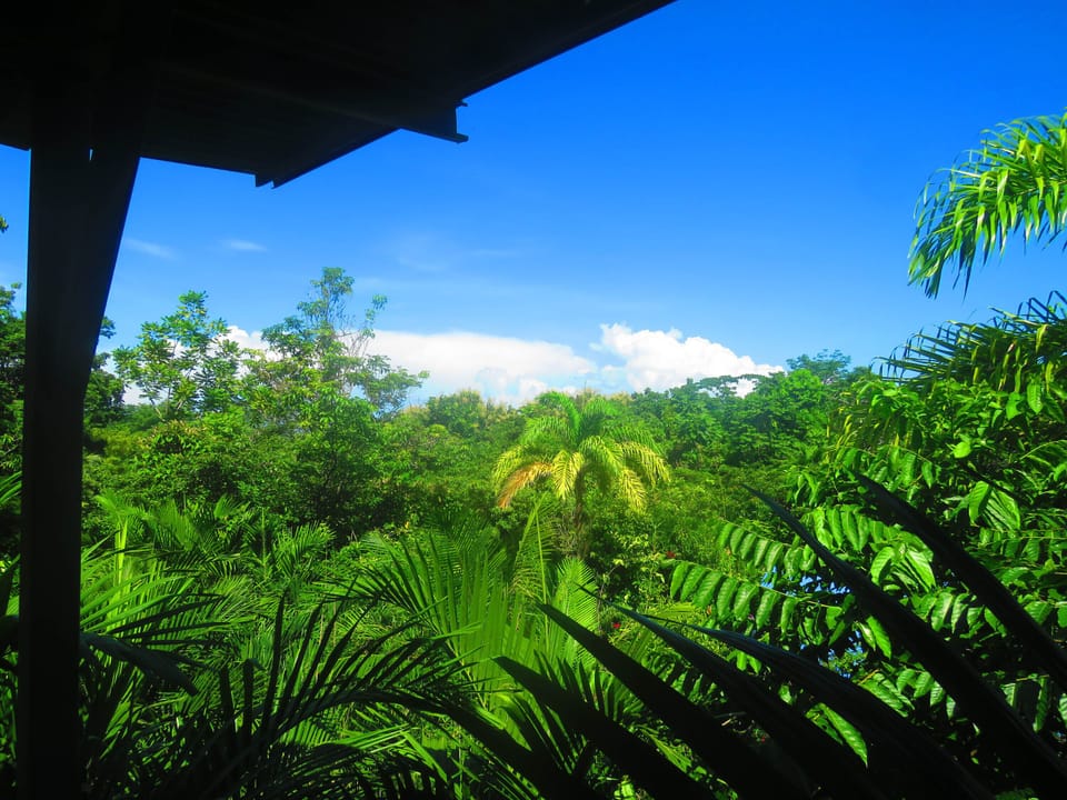 Aloha Deck View
