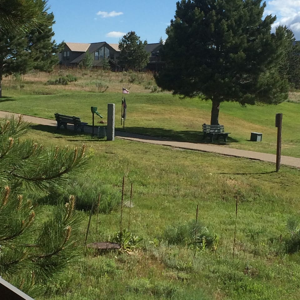 #6 tee box