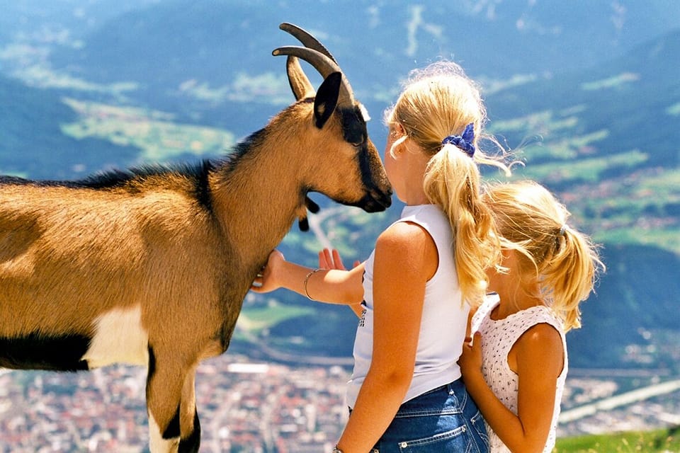 Meet the locals
