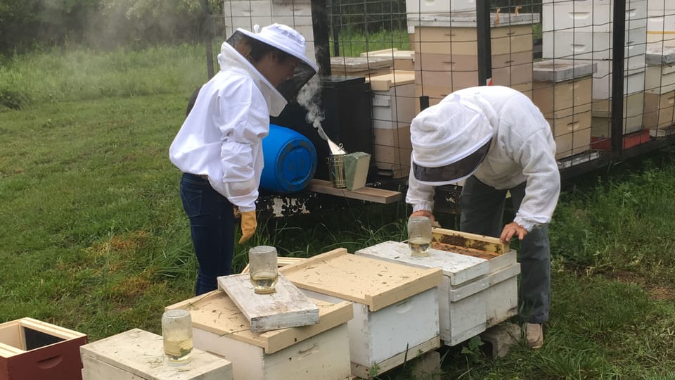 Bee TIme!