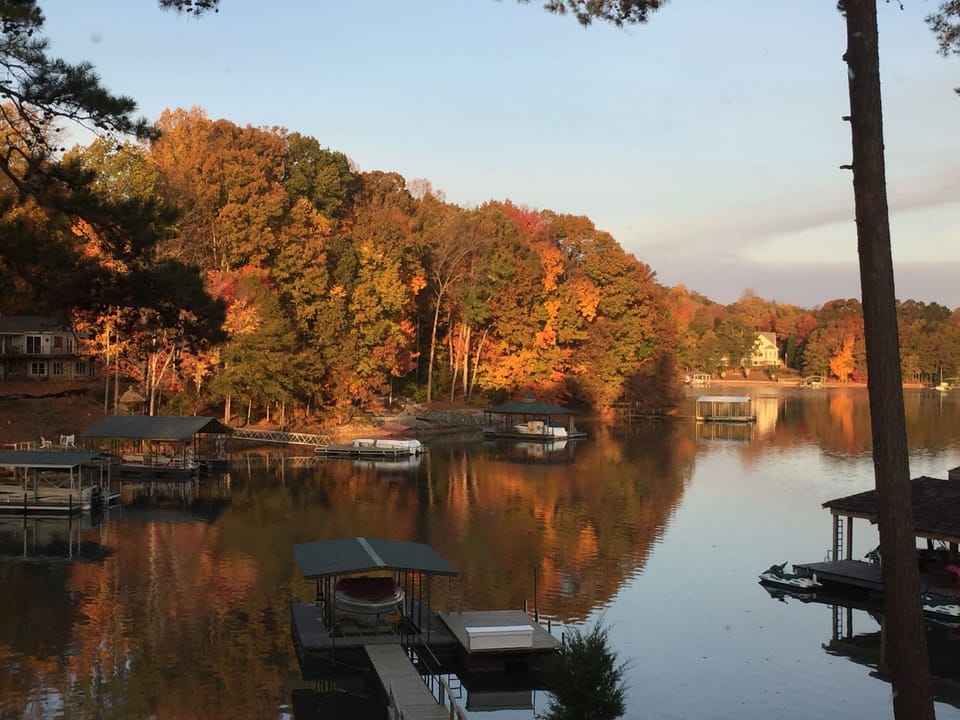 Autumn Morning
