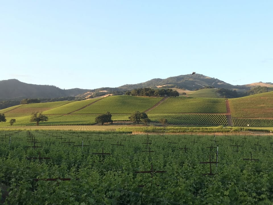 Kenwood valley vistas in Sonoma wine country 