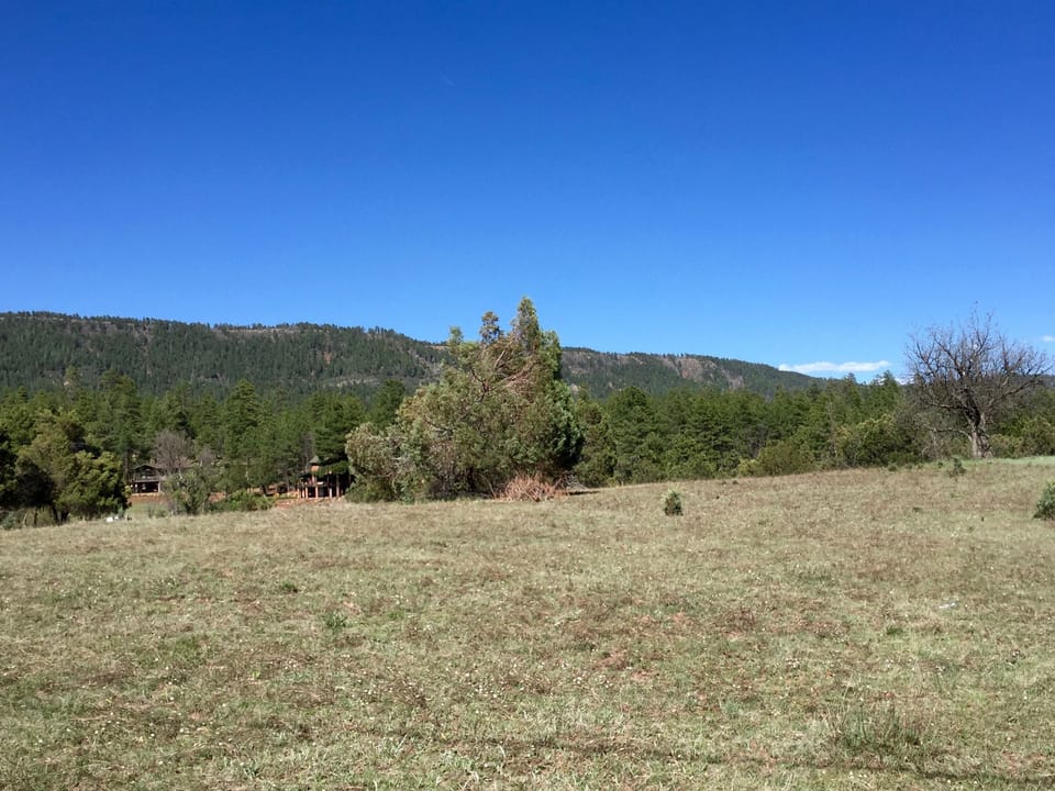 Views from backyard overlooking the Mogollon Rim