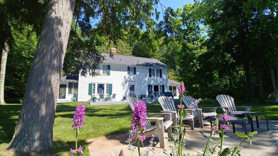 Patio and front lawn