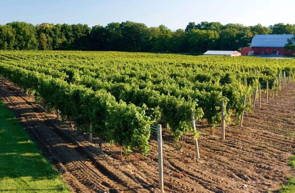 The Cayuga Wine Trail.  17 wineries, 4 distilleries, a cidery, and a meadery.