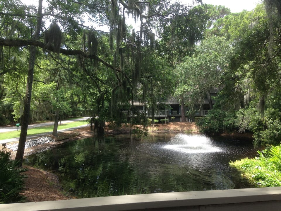 Relaxing lagoon view from the villa! 7 min walk to the beach - 5min to golf