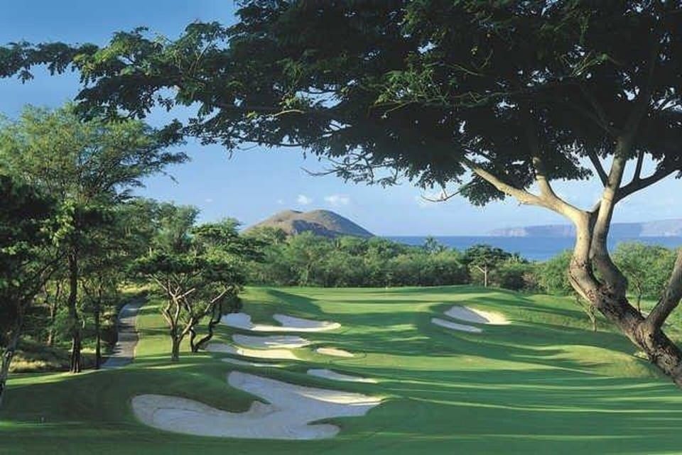 Golf at Gorgeous Wailea Blue, Emerald, or Gold Courses - close by!