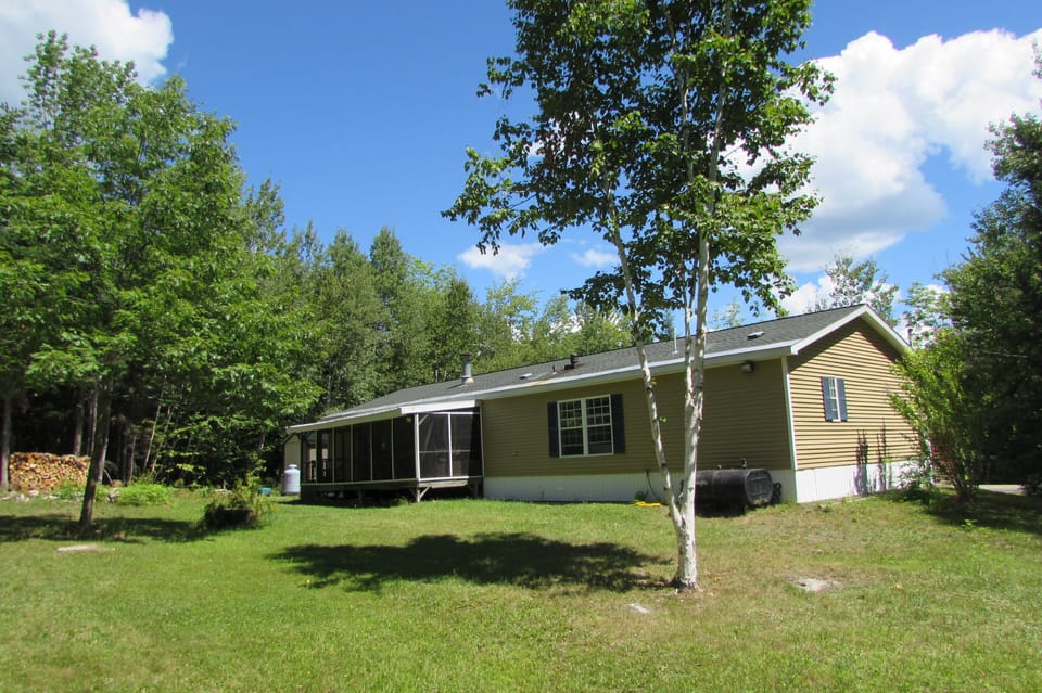 back yard; back of house and  porch