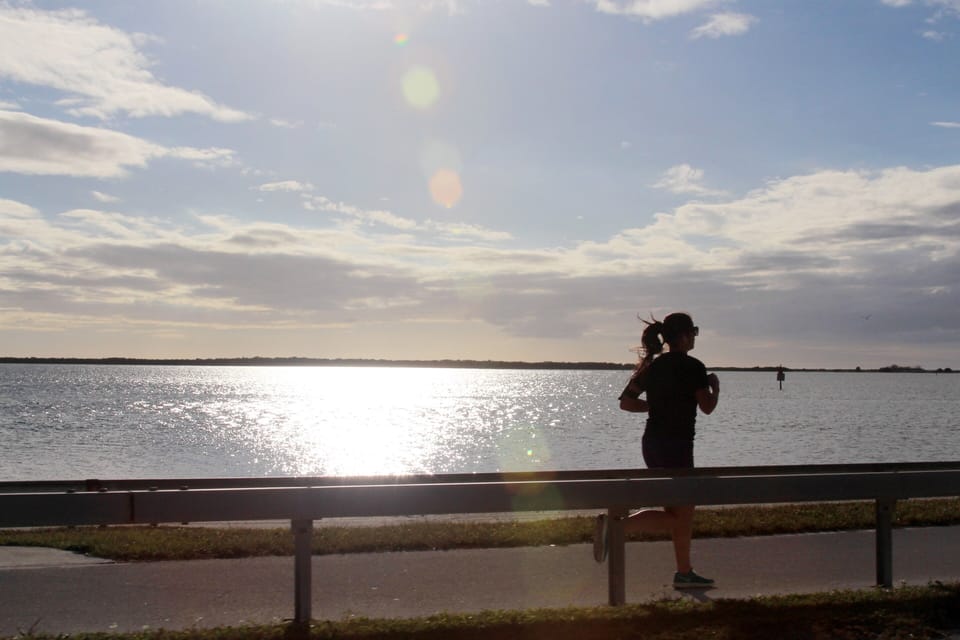 Walk, jog, skate or drive the causeway to Honeymoon Island and the beaches.