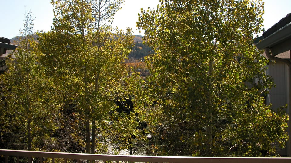 View from balcony