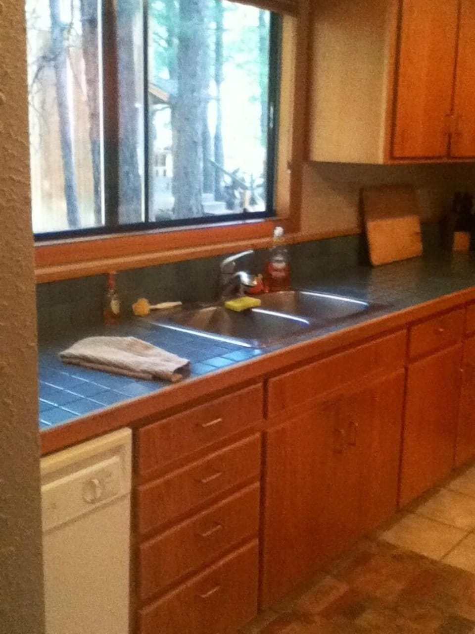 Kitchen Sink & Window