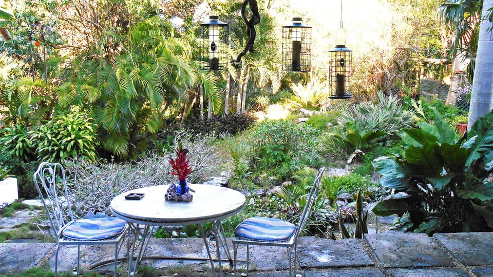 Patio Overlooking Koi Fish Pond and Garden