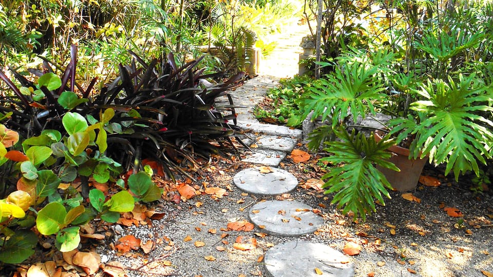 Walkway to Pool