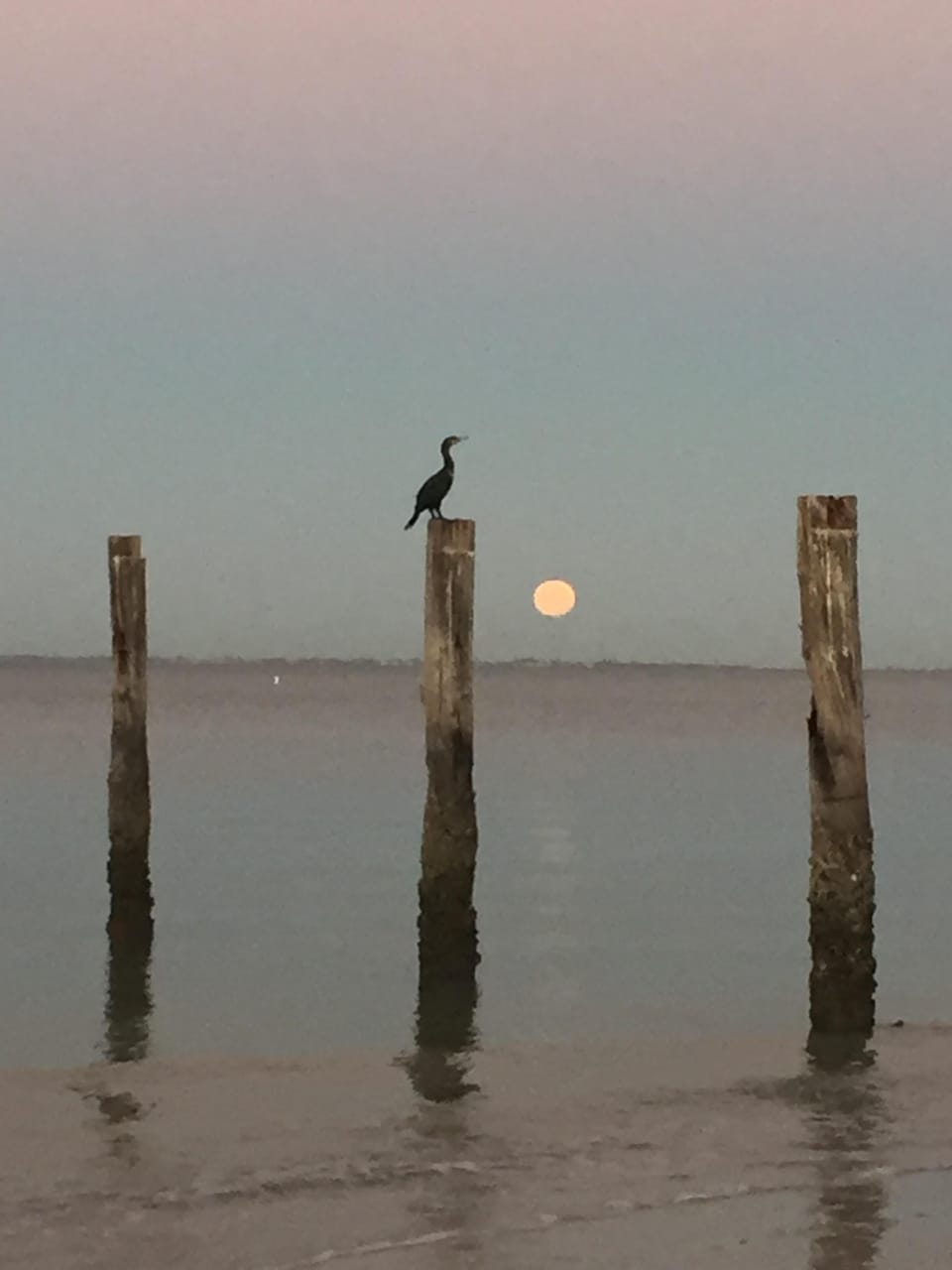 Full moon setting 