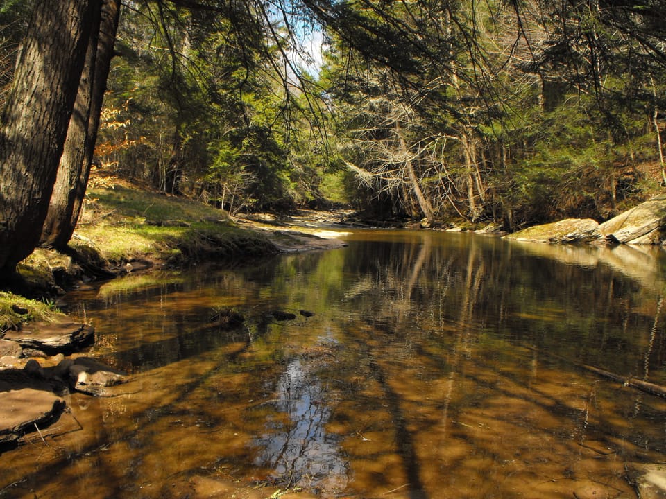 Looking up stream.