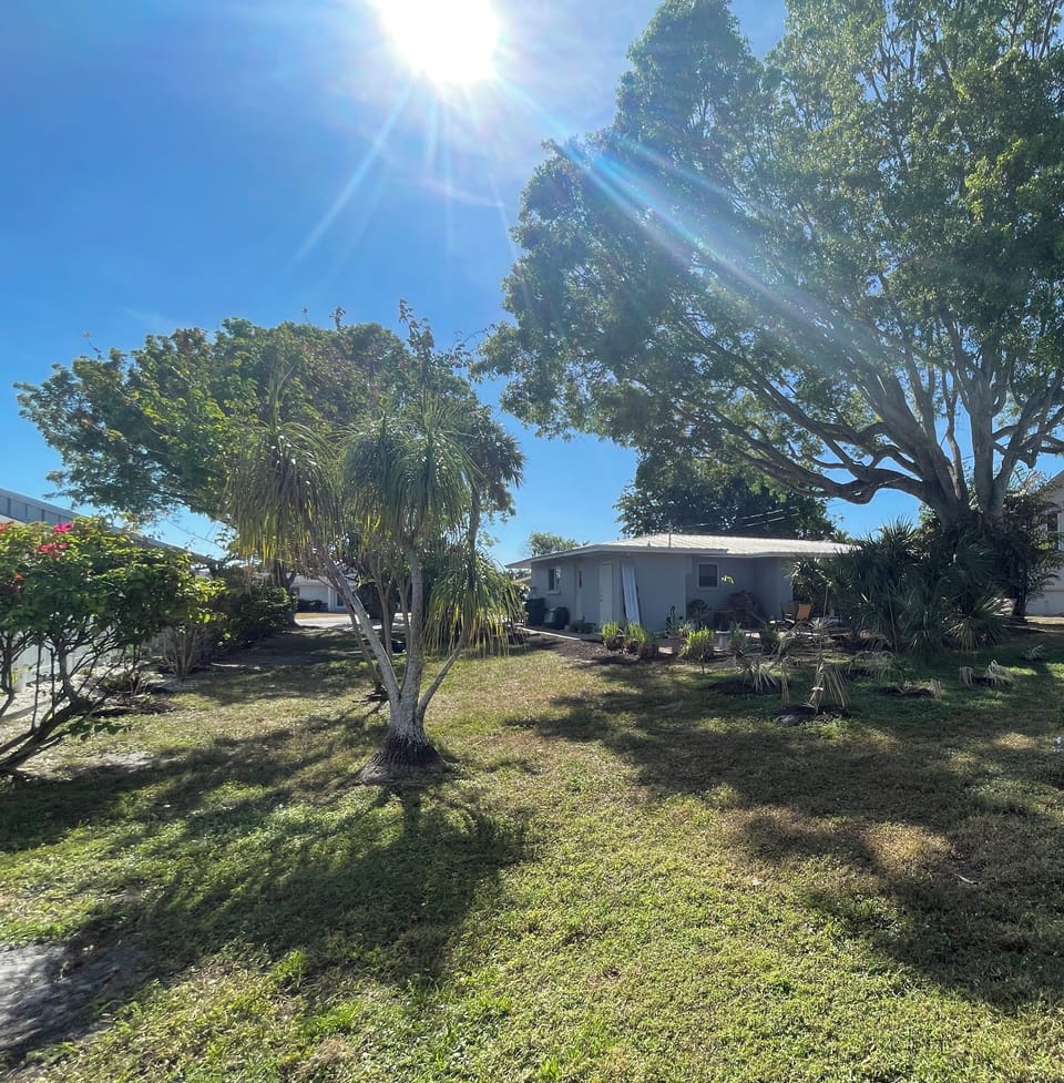 photo taken 12/8/24. View from the northeast corner of the backyard.