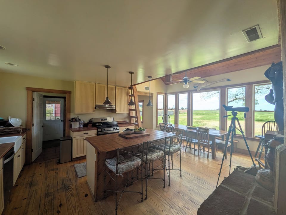 Kitchen/dining
