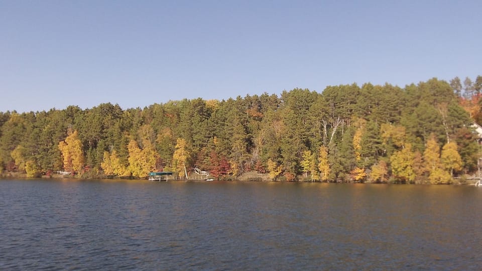 View of the "neighborhood".