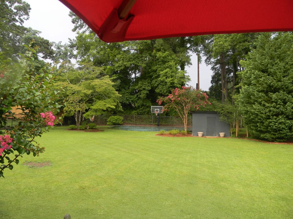 Backyard View