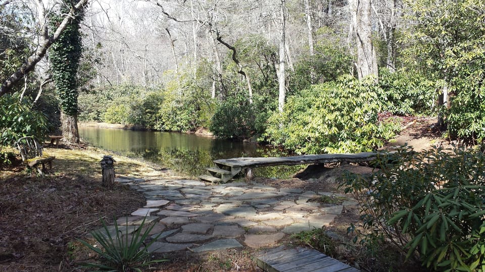 Our pond.