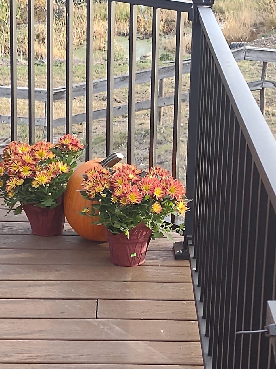 Corner of deck off of attached garage