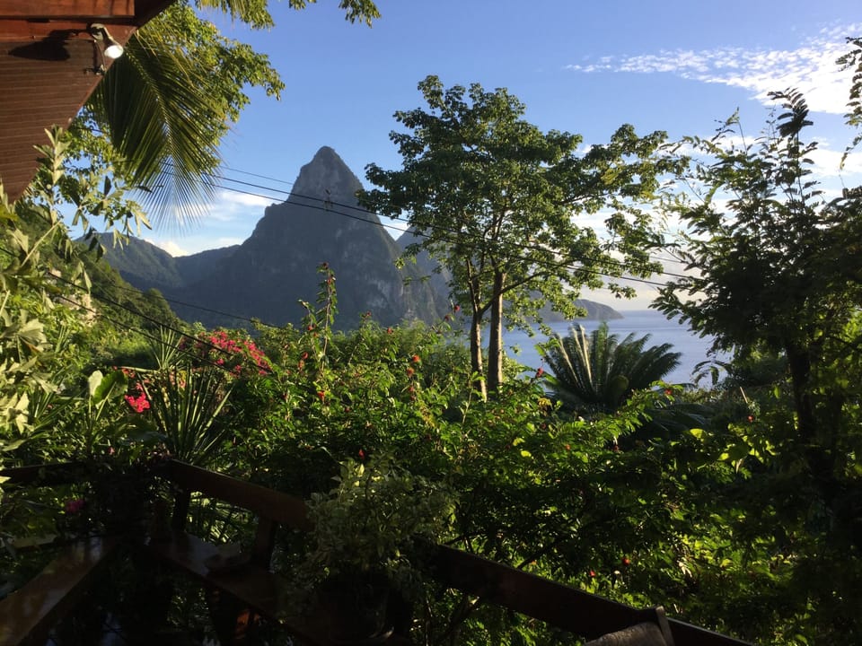 The views from the open air deck of the Treehouse will amaze you every day!