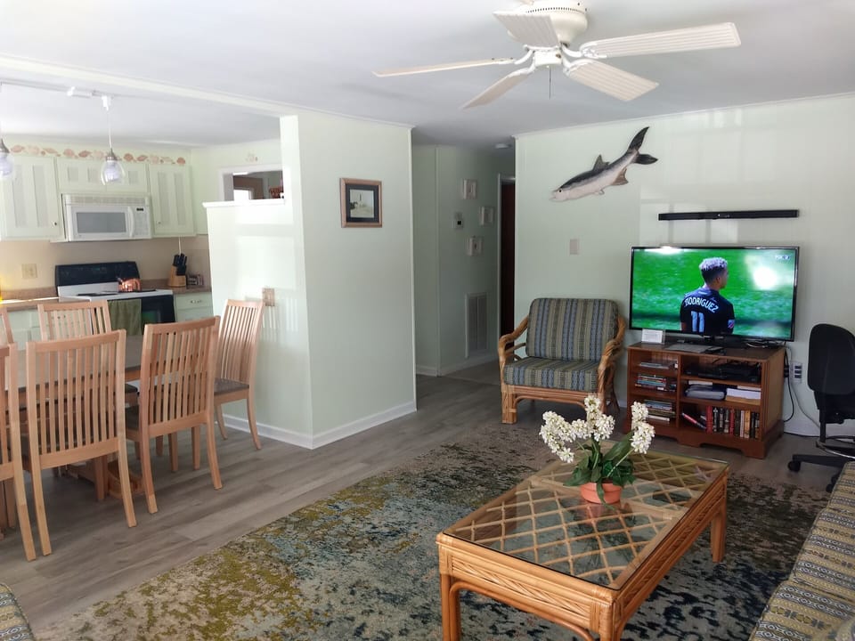 Open living room / kitchen