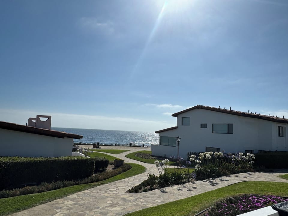 View from terrace 