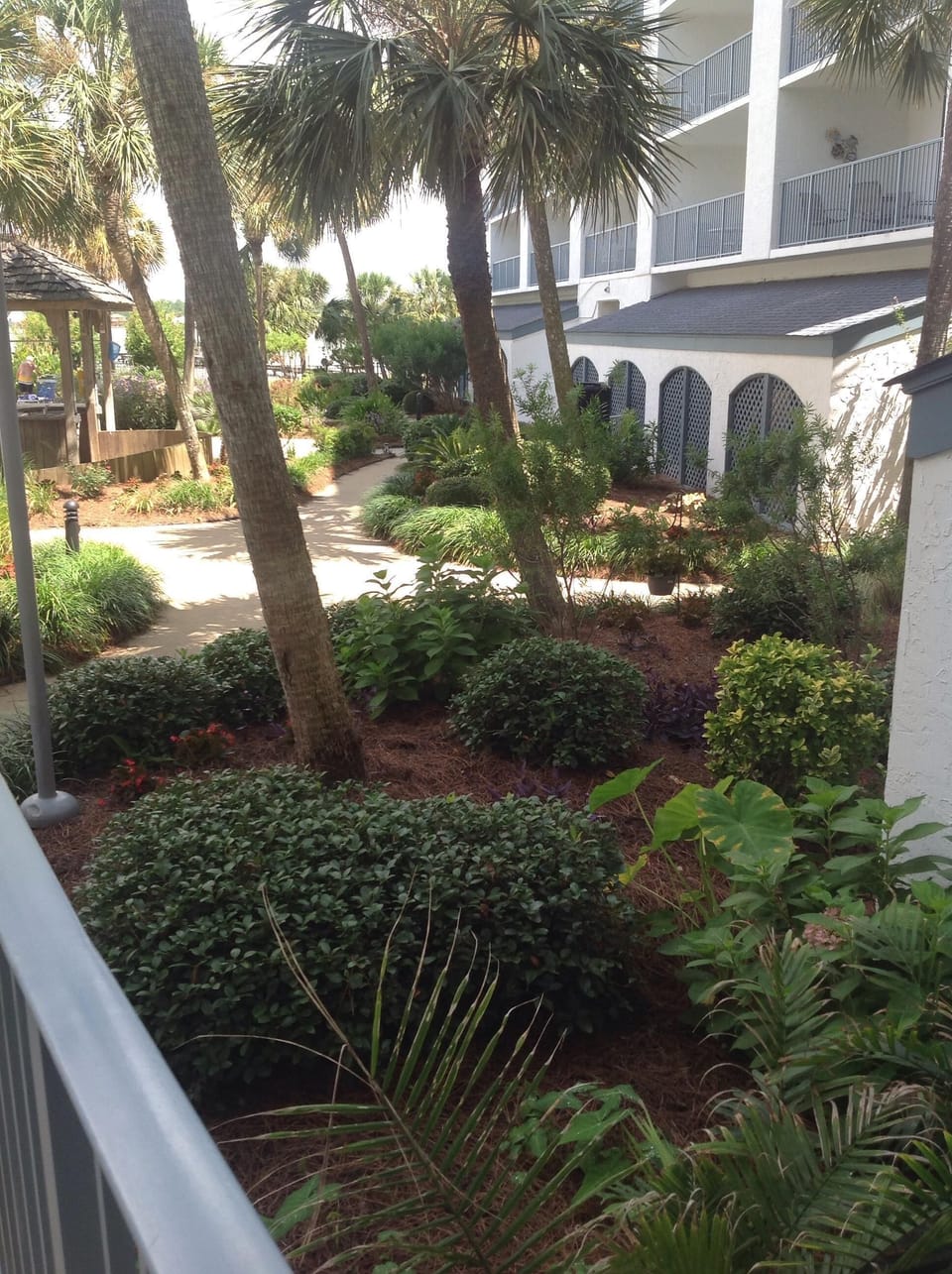 tropical foliage at pool area...