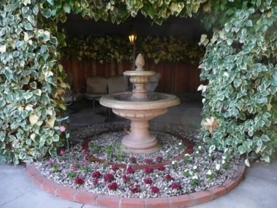 Decorative Fountain with 100 year old Ivy and Canopy in the background