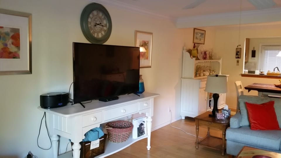 Large flat screen, smart TV.    Great wifi