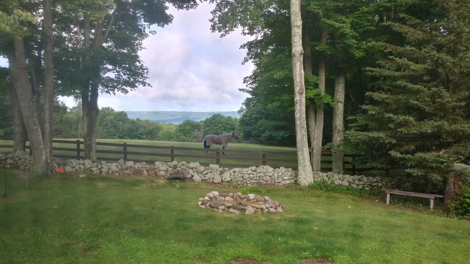 One of the pastures and the view from the top of the hill