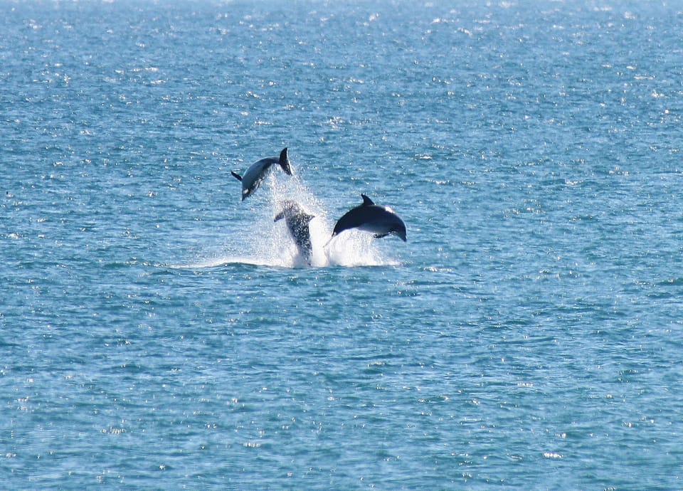 Yes! I took this right off my deck!