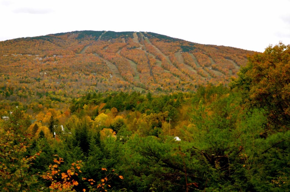 Fall foliage views from the house