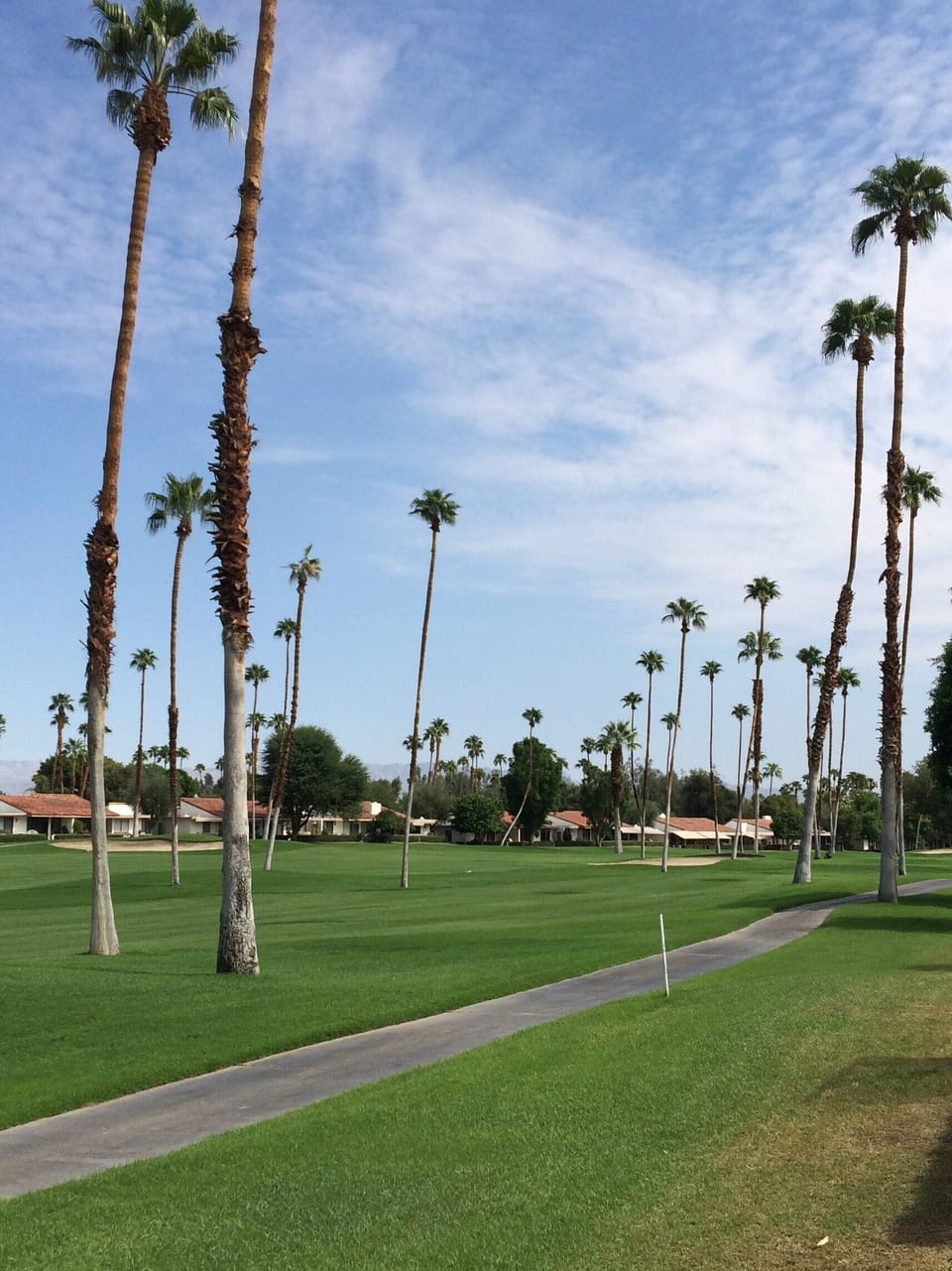 Enjoy your day with this view from your patio!