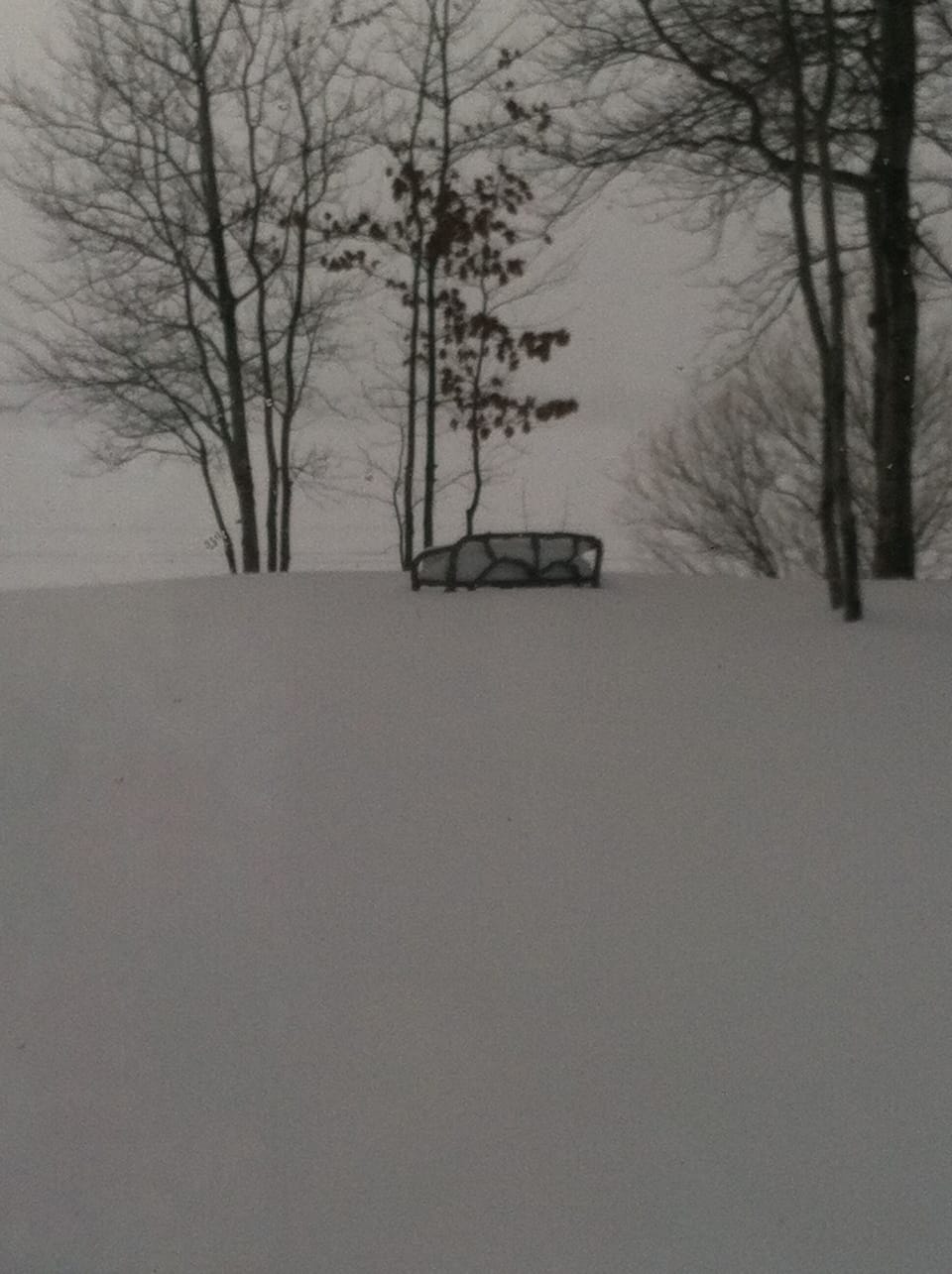 Snowy day at the lake!