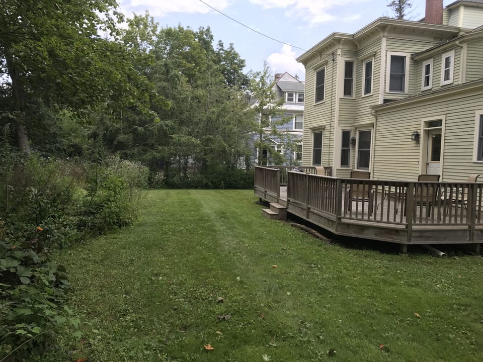 Small private yard is fenced for your dog