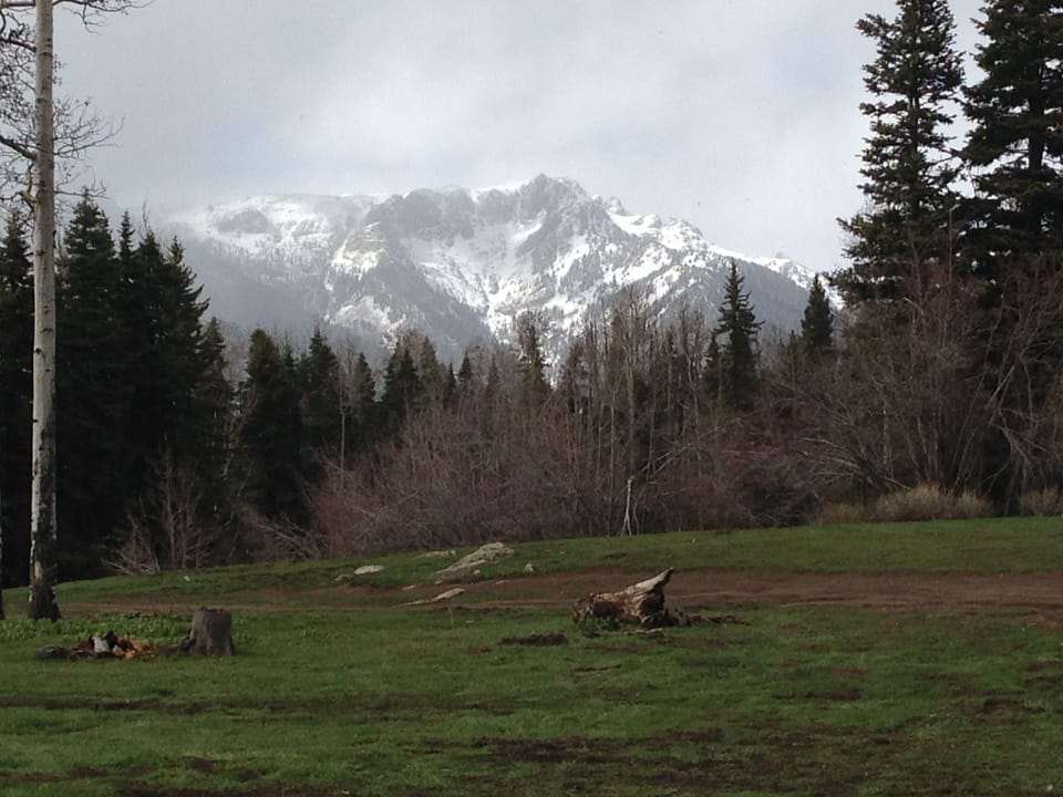 A view of Sheep Mountain from Middle Mountain in the spring.