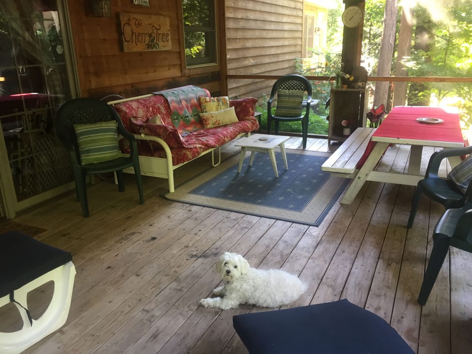 Super comfy screened in porch. Everyone's favorite place to hang out. 