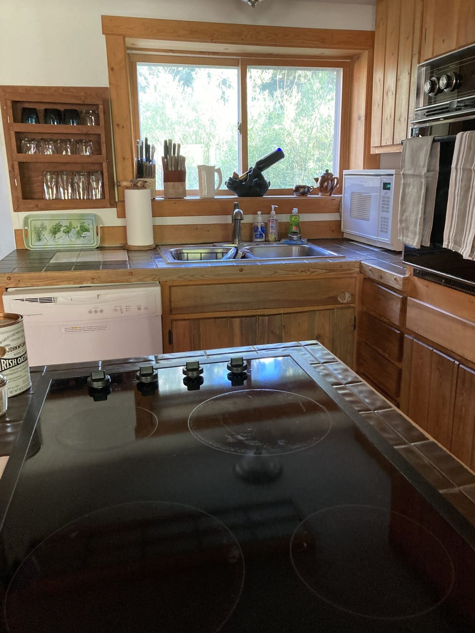 New electric cooktop and kitchen.